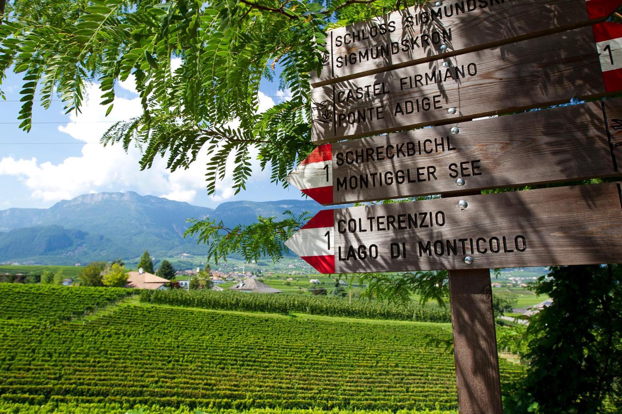 Belia Lofts - Adults Only - Apartments Eppan an der Weinstraße Eksteriør billede
